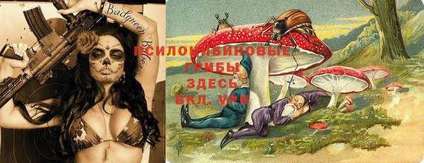 мдпв Нея