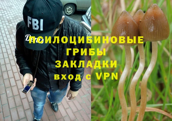 дмт Надым
