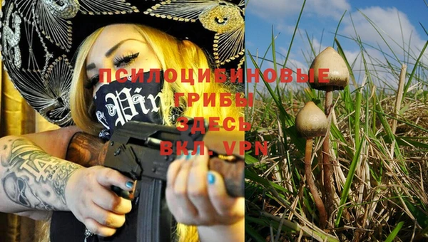 дживик Нефтегорск