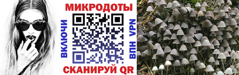 Купить где  Донецк  Псилоцибиновые грибы прущие грибы 
